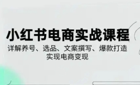 小红书从0-1实操课(2023-2025),详解养号、选品、文案撰写、爆款打造实现电商变现-东疆墨鹰的百宝箱