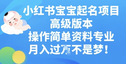 小红书宝宝起名项目高级版本，操作简单，资料专业，月入过W-东疆墨鹰的百宝箱
