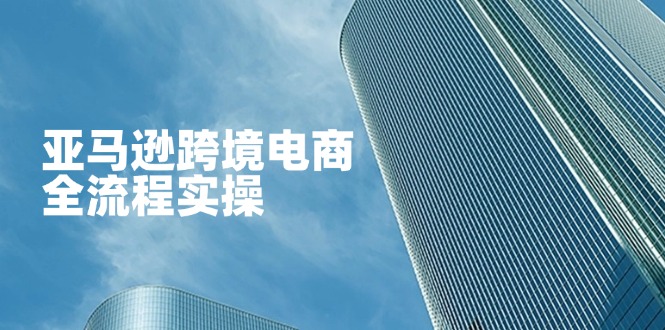（14252期）亚马逊跨境电商全流程实操，教你从零开始，掌握店铺运营与广告技巧-东疆墨鹰的百宝箱