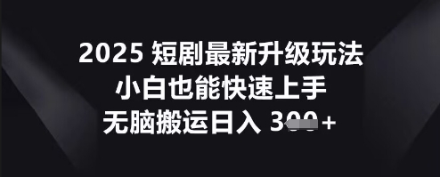 2025短剧最新升级玩法，小白也能快速上手，无脑搬运日入3张-东疆墨鹰的百宝箱