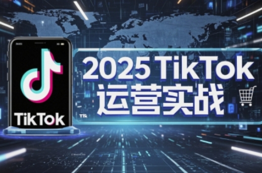 2025TikTok电商运营，掌握TikTok店铺运营核心技巧，实现低成本高转化-东疆墨鹰的百宝箱