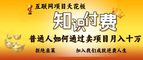 互联网项目天花板,知付付费项目,普通人如何通过卖项目月入十个,拒绝韭菜【揭秘】-东疆墨鹰的百宝箱