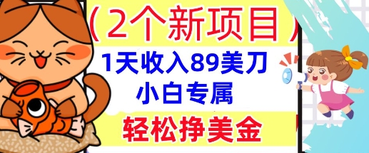 2个新项目，轻松挣美金， 1天收入89美刀，小白专属，干货分享-东疆墨鹰的百宝箱