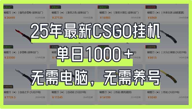 (14178期)25年最新CSGO挂机系统,单日1000+,无需电脑,无需养号,0基础可上手-东疆墨鹰的百宝箱