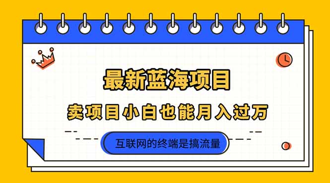 (14289期)2025年最新蓝海项目,卖项目小白也能月入过万-东疆墨鹰的百宝箱