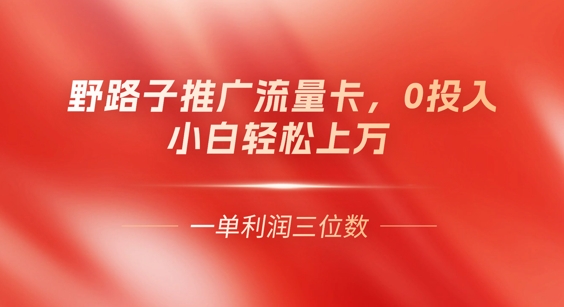 0门槛推广流量卡，一单收益上百，0投入，小白月入过W-东疆墨鹰的百宝箱