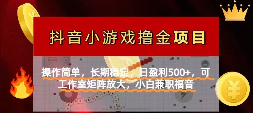 (14290期)【抖音小游戏发行人计划项目】操作简单,长期稳定,日盈利500+,可工作...-东疆墨鹰的百宝箱