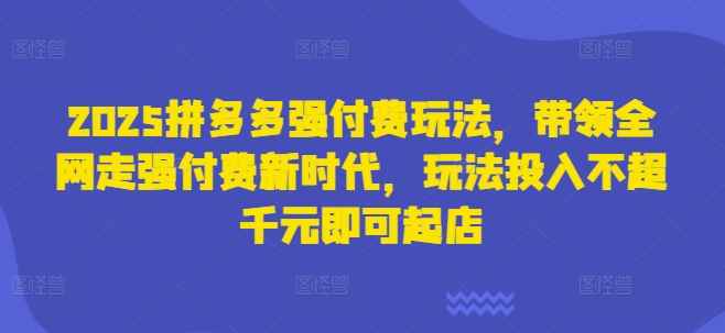 2025拼多多强付费玩法，带领全网走强付费新时代，玩法投入不超千元即可起店-东疆墨鹰的百宝箱