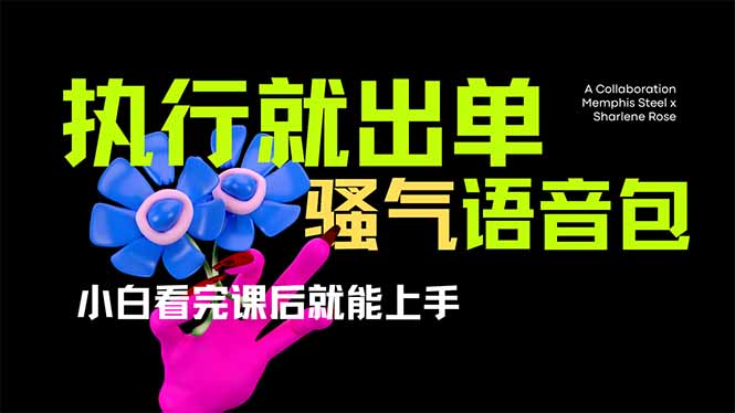 (14170期)爆火全网的开车导航骚气语音包,只要执行就出单,小白看完课程就能实操...-东疆墨鹰的百宝箱