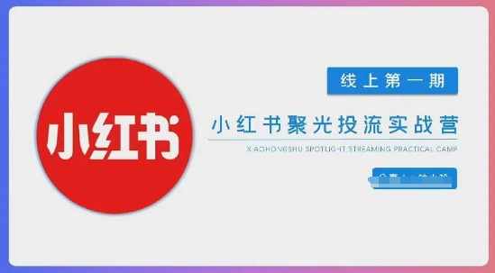 小红书聚光陪跑第一期,教你从0到1玩转小红书聚光投流,搭建小红书付费投流团队,更快的见到效果-东疆墨鹰的百宝箱