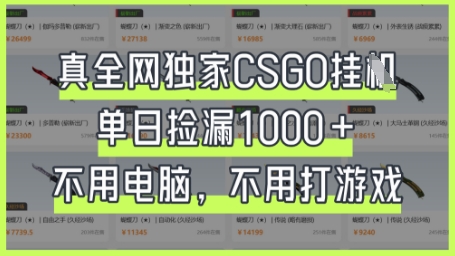 真全网独家CSGO挂G，单日捡漏1k+【揭秘】-东疆墨鹰的百宝箱