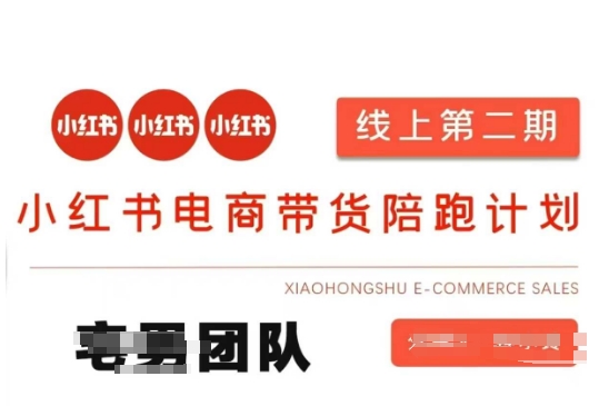小红书电商带货课2期,月利润20个的小红书电商的有货源,无货源,虚拟产品,付费投流等整套玩法-东疆墨鹰的百宝箱